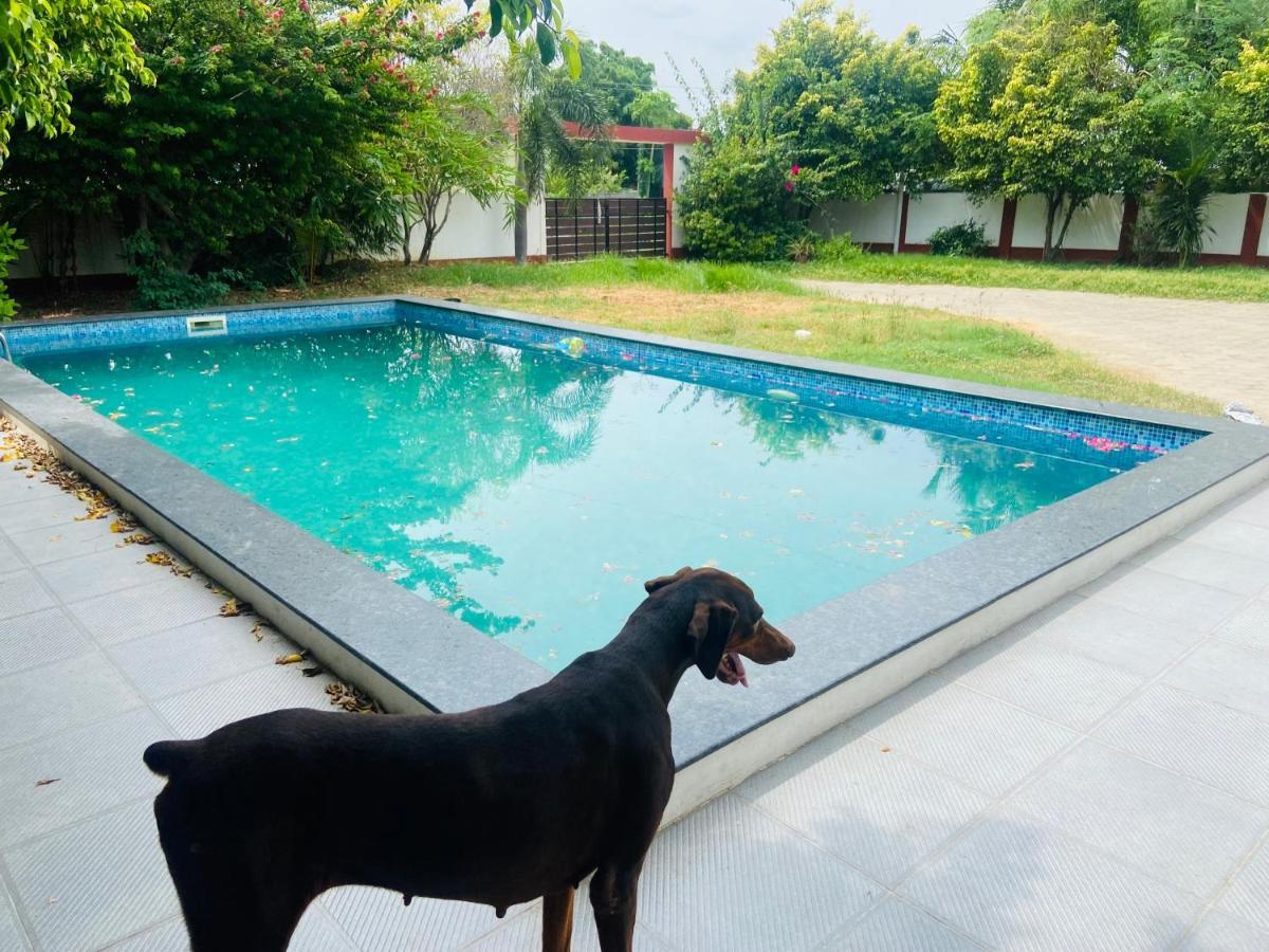 Le Grace Ecr Chennai Bagian luar foto